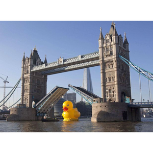 Rubber Duck Moves Electric Cables